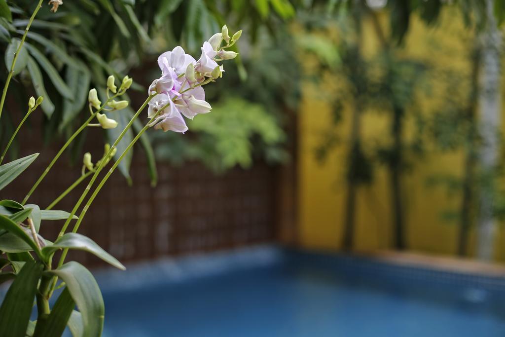 Forest King Hotel Ciudad de Siem Riep Exterior foto